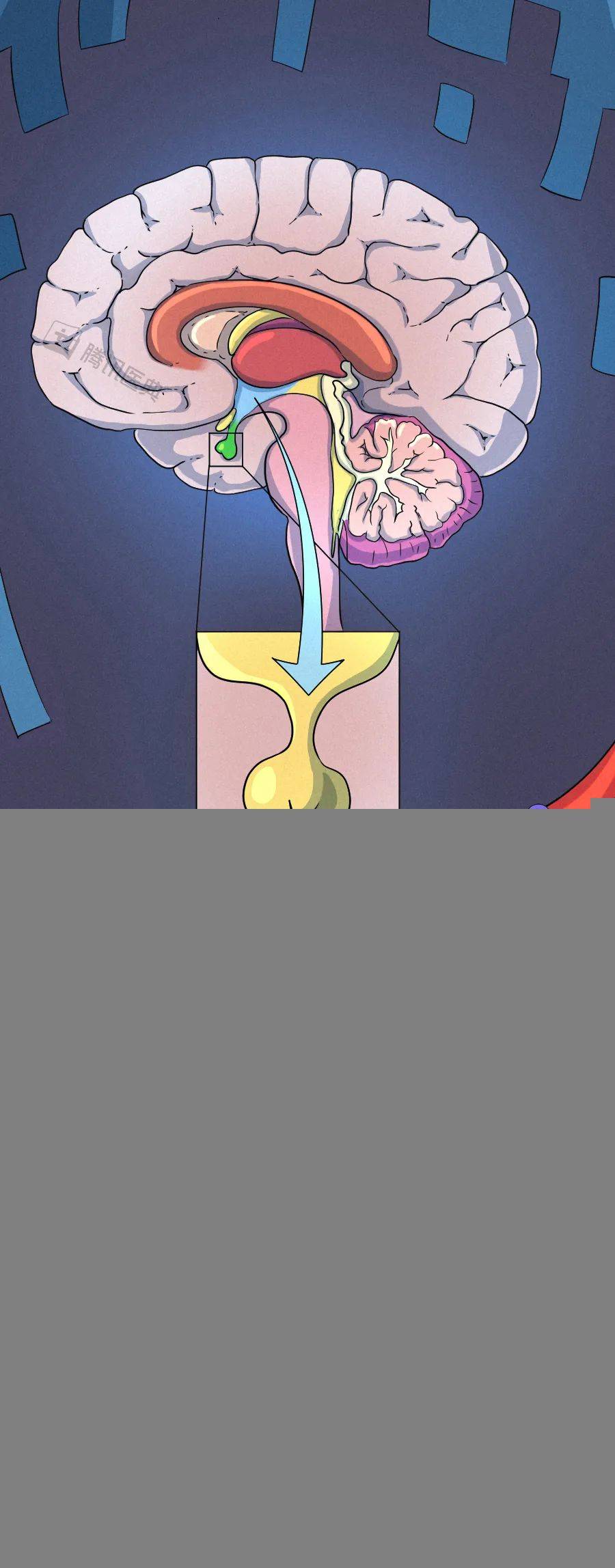 声音|海岛一声巨响，半船人“耳朵没了”丨声音是怎么杀人的？