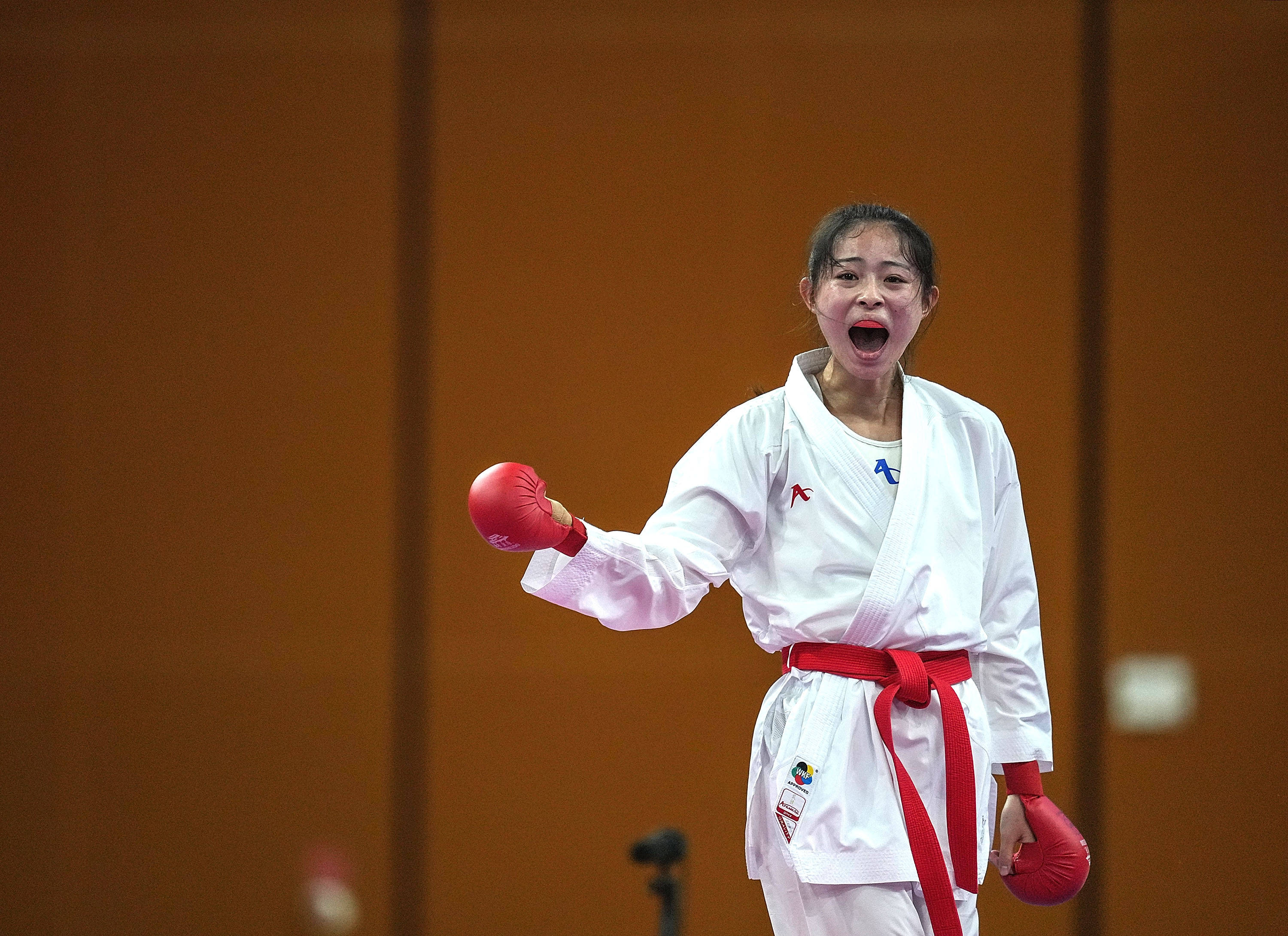 空手道——女子61公斤以上级决赛:龚莉夺冠