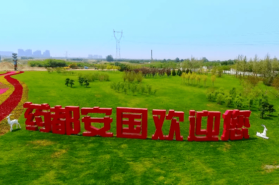 旅发早知道安国一座城在药香里流传千年