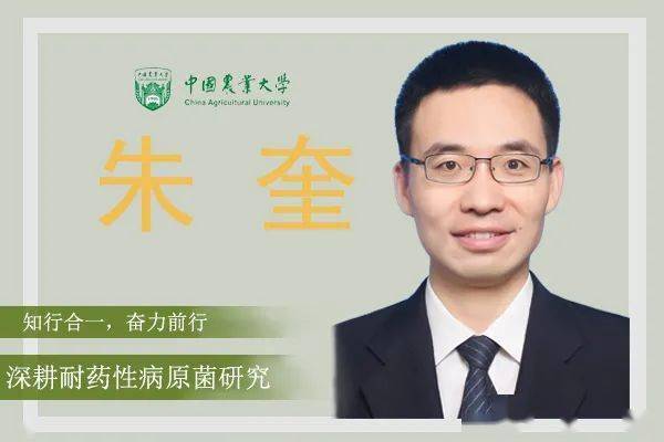 耐药细菌防控力士朱奎潮阔浪尖探抗菌治疗新岛访中国农业大学教授朱奎