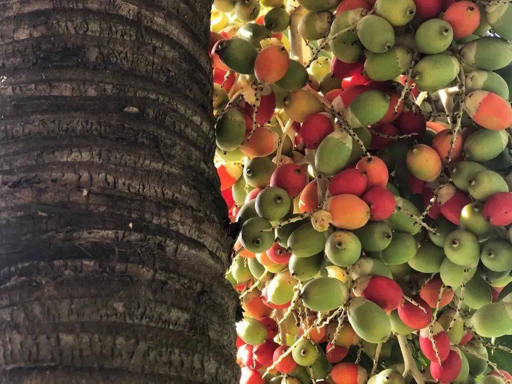 状态|众望所归，这种一类致癌物的广告终于被叫停