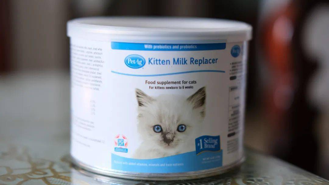 它是号称 最接近母乳的一种宠物奶粉,为猫咪加餐再适合不过了