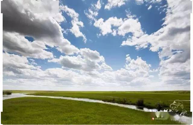 欢迎到内蒙古来 389d11dd81264735a88af699d6ac9508.jpeg