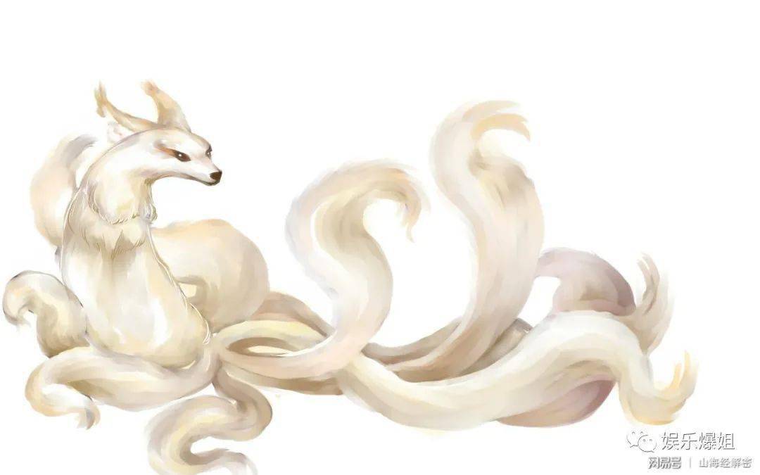 kun以前的经纪公司上法庭是为了什么?明星养小gui是真的吗?