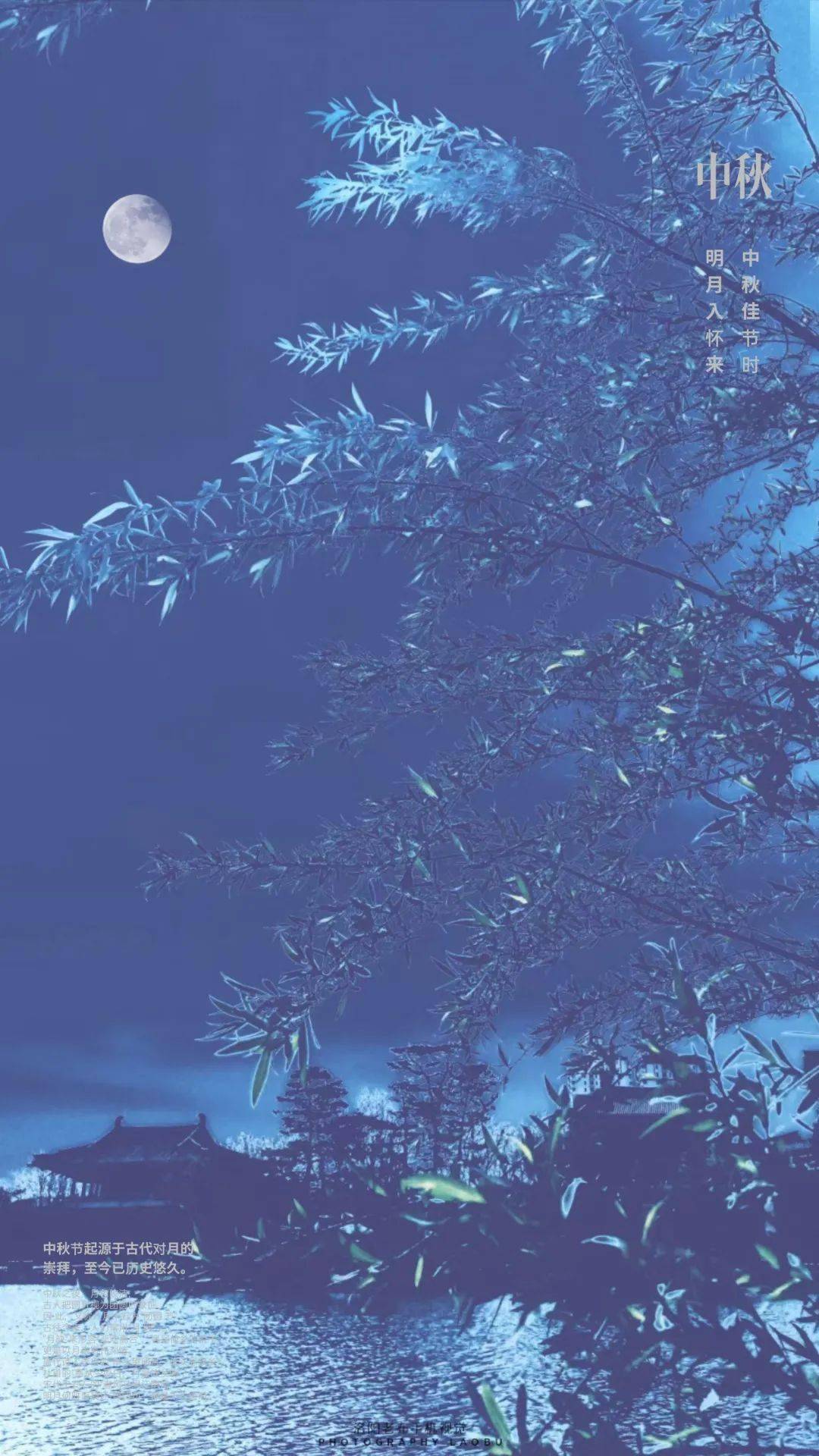 洛阳中秋揽月入怀来