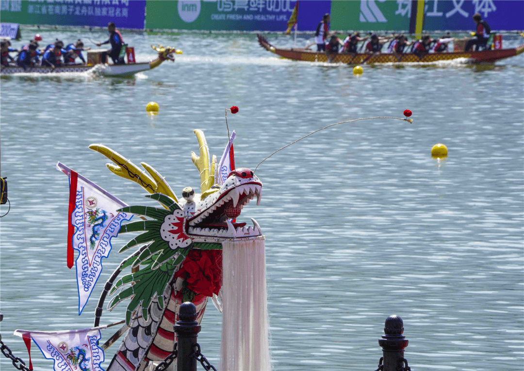 家门口的国内顶级龙舟赛事!温州苍南队代表浙江出战勇夺首金