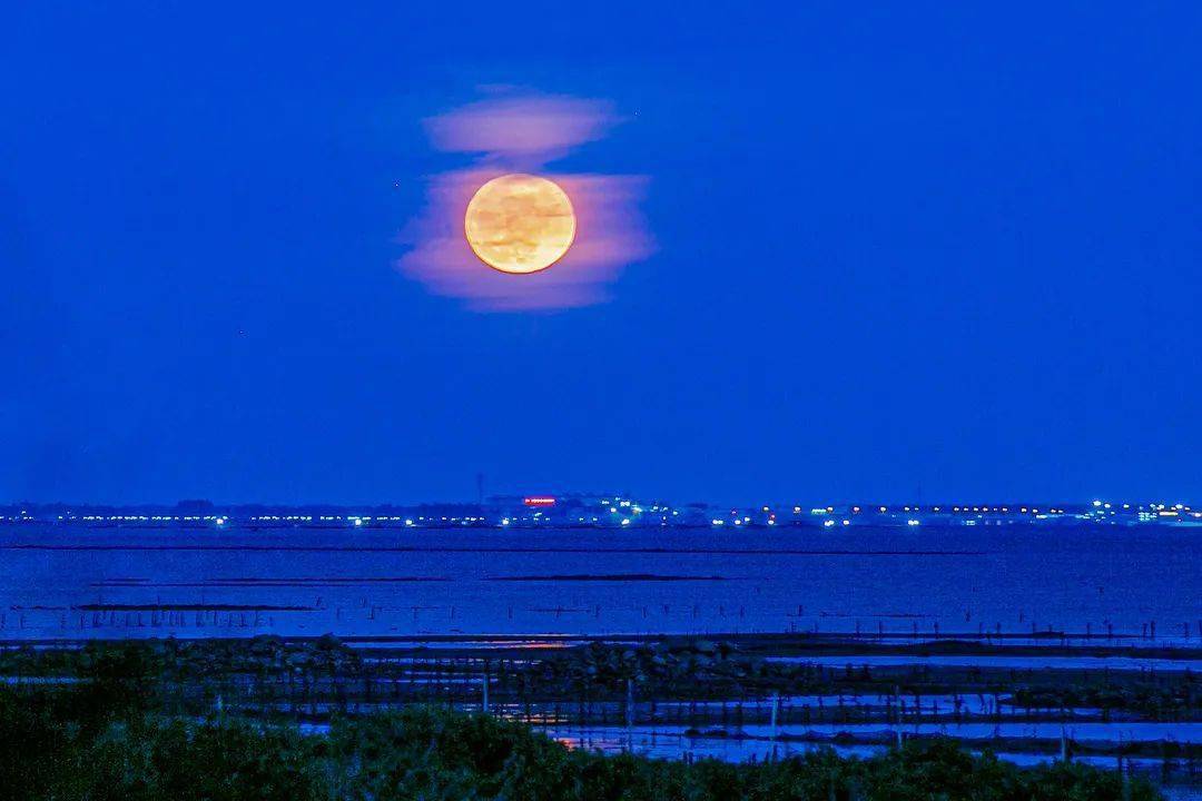 乐清市海上明月图片