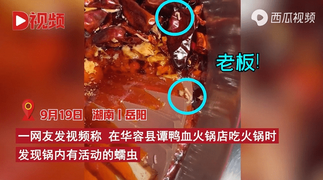 “谭鸭血”火锅店再现活虫：多地门店曾被曝食安