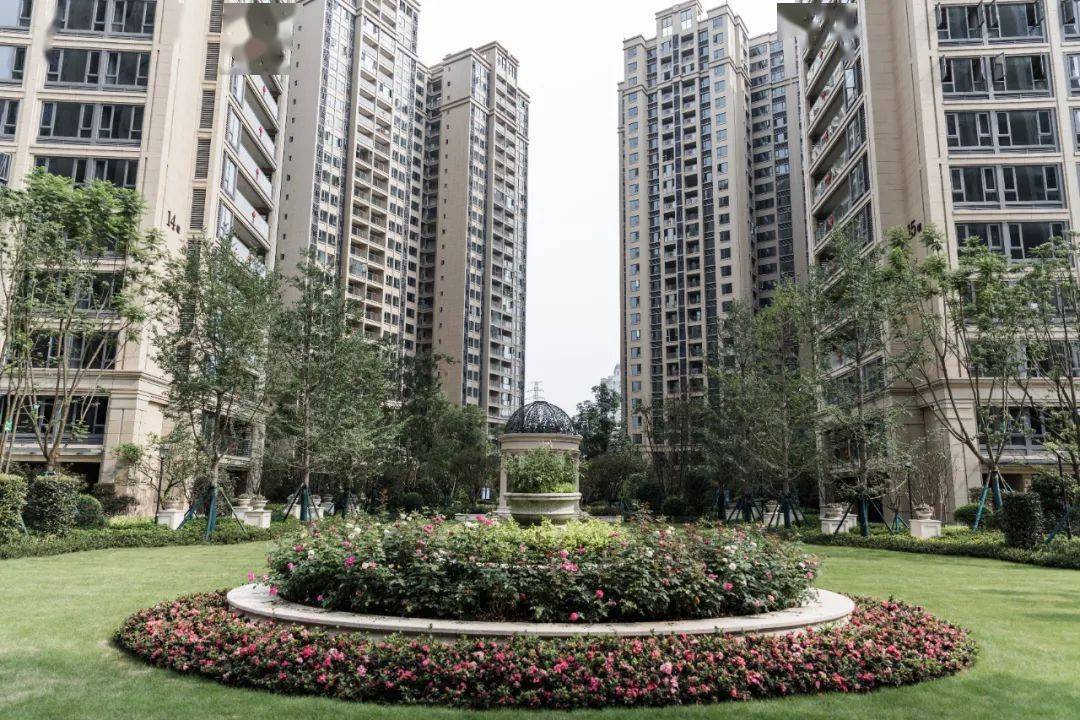 配套强势升级未来势不可挡这个板块的发展资阳人都该提前知道