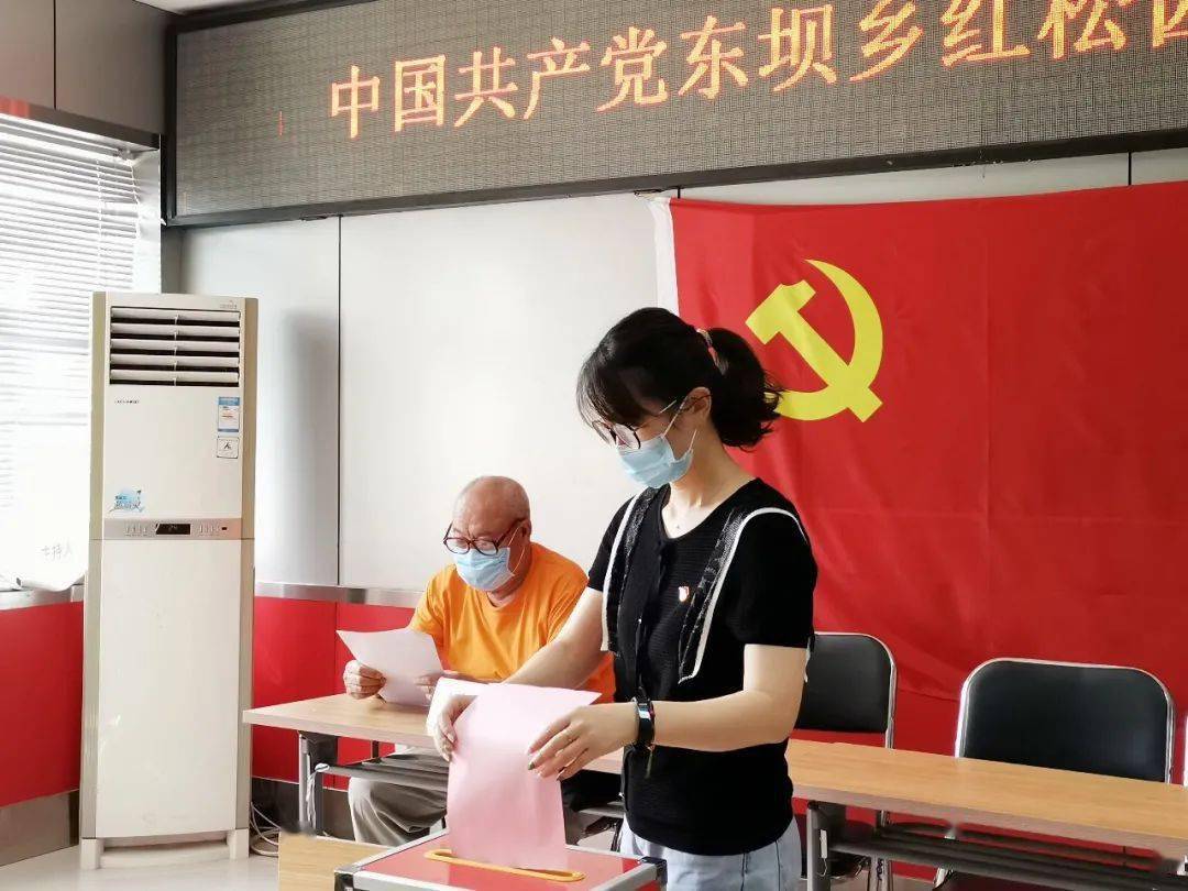 选好党代表谋划新发展东坝乡社区村党代表选举大会顺利完成