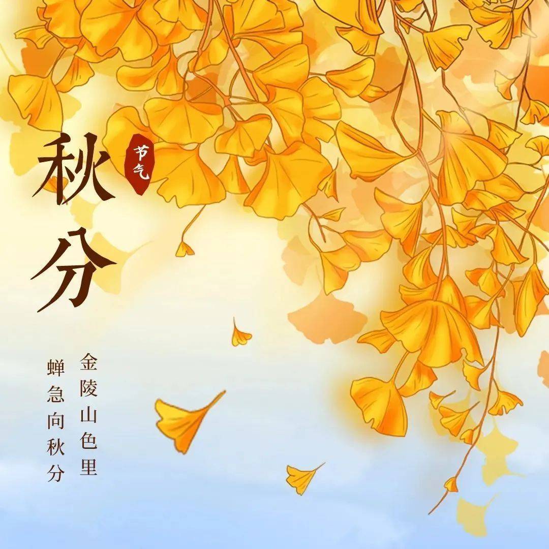 团团的二十四节气 | 昼夜均而寒暑平，今天真正“入秋”了_秋分