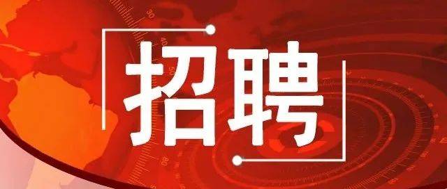 570人!石家庄面向社会公开招聘辅警!有保险,高中、大专可报!_审核