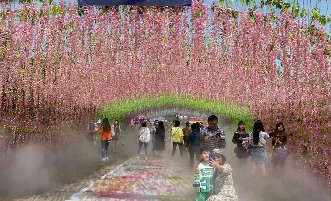 明星·空降蓬溪天福万象,10月1日花海旅游节,盛大开幕!