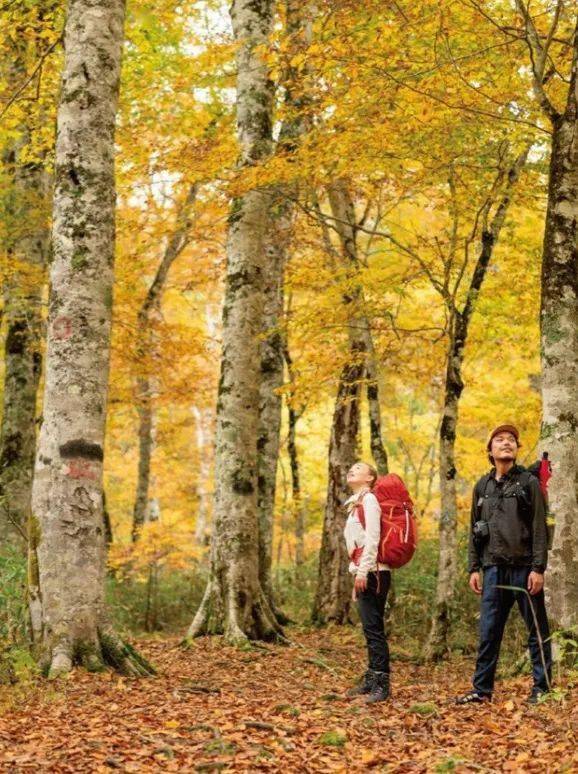 口袋 舒适又时髦的出行搭配指南