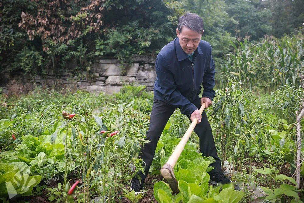 致敬功臣永跟党走陈祥海永葆军人初心本色