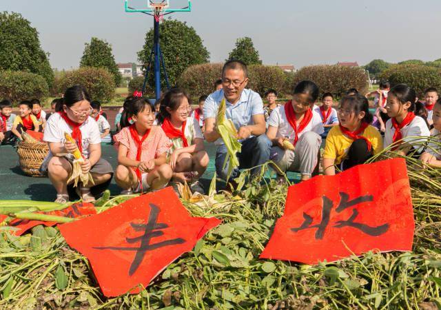 谭云|瓜果飘香，校园里的丰收节来啦！