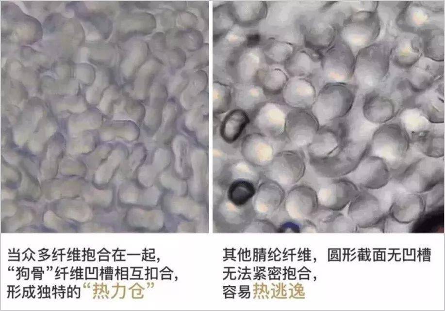 图片 49元起！德绒“自发热”内衣套装，A类面料，保暖又舒适，高颜值！