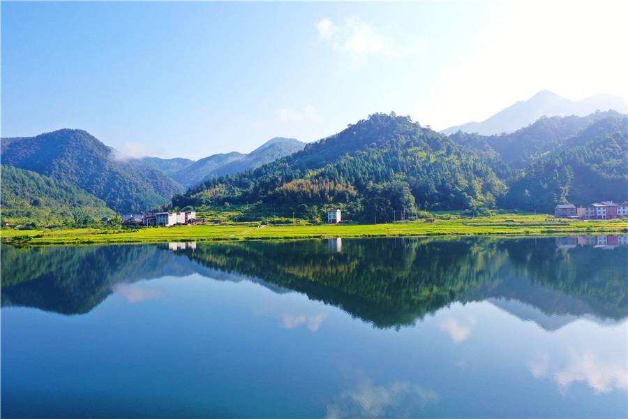 金色稻田与碧蓝天空映照溪上 福建将乐一幅丰收景象