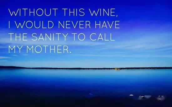 什么|葡萄酒爱好者的日常