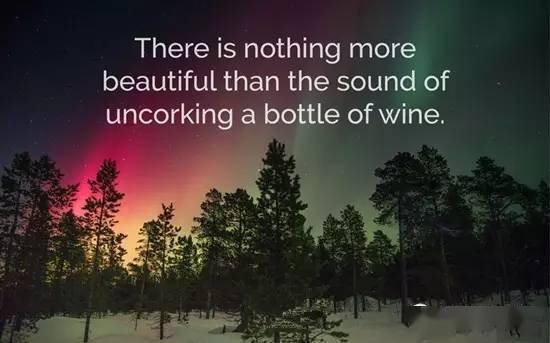 什么|葡萄酒爱好者的日常