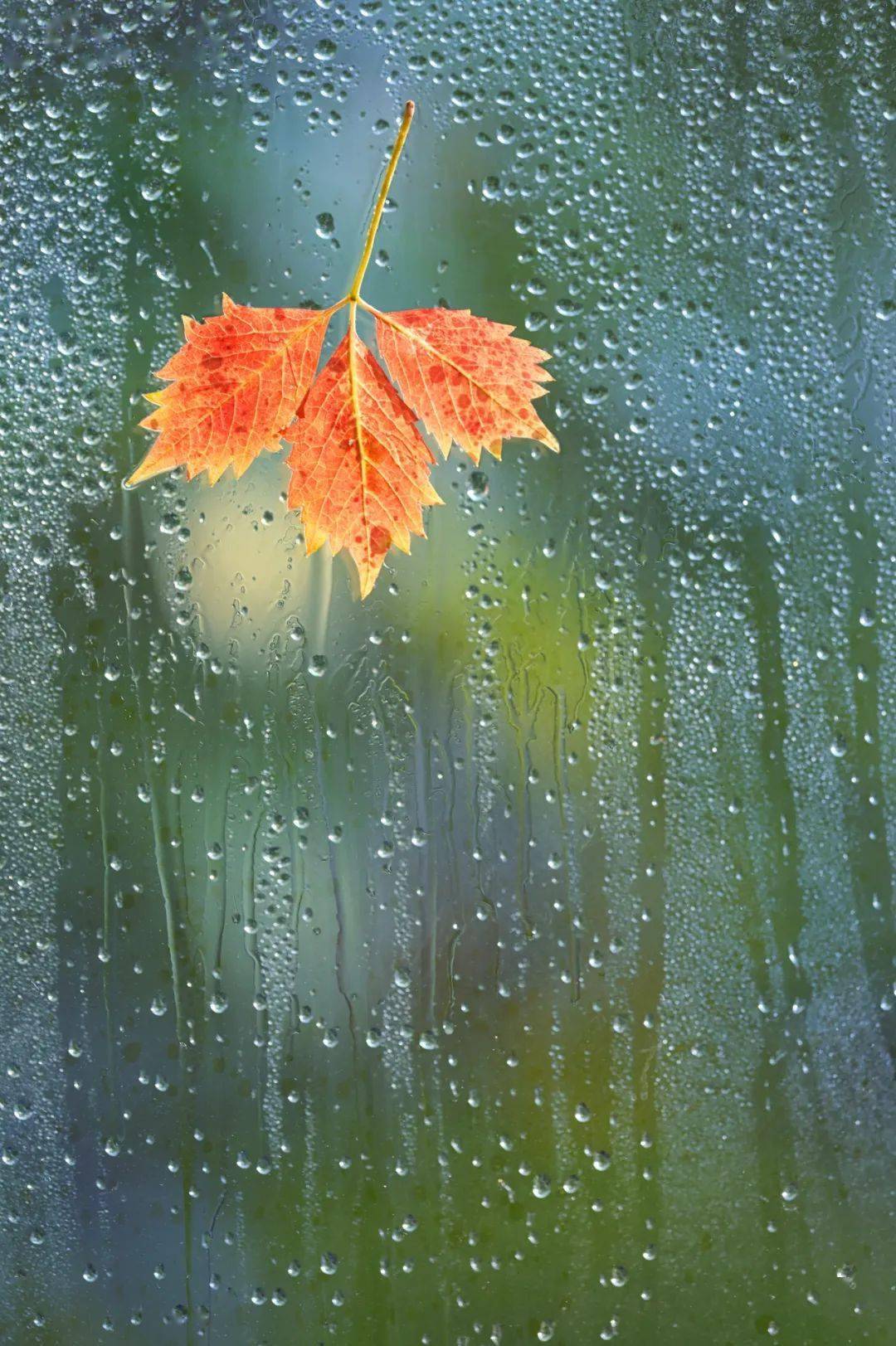 雨夜晚安图片唯美图片