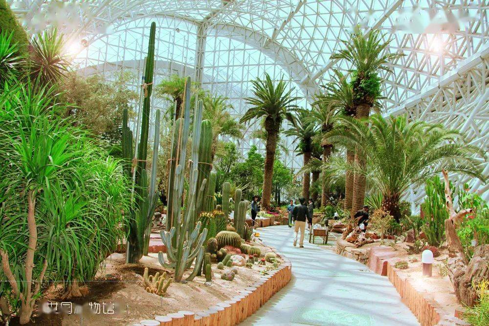 植物馆是青岛世博园标志性建筑之一,建筑形象取自叶片,总建筑面积约2