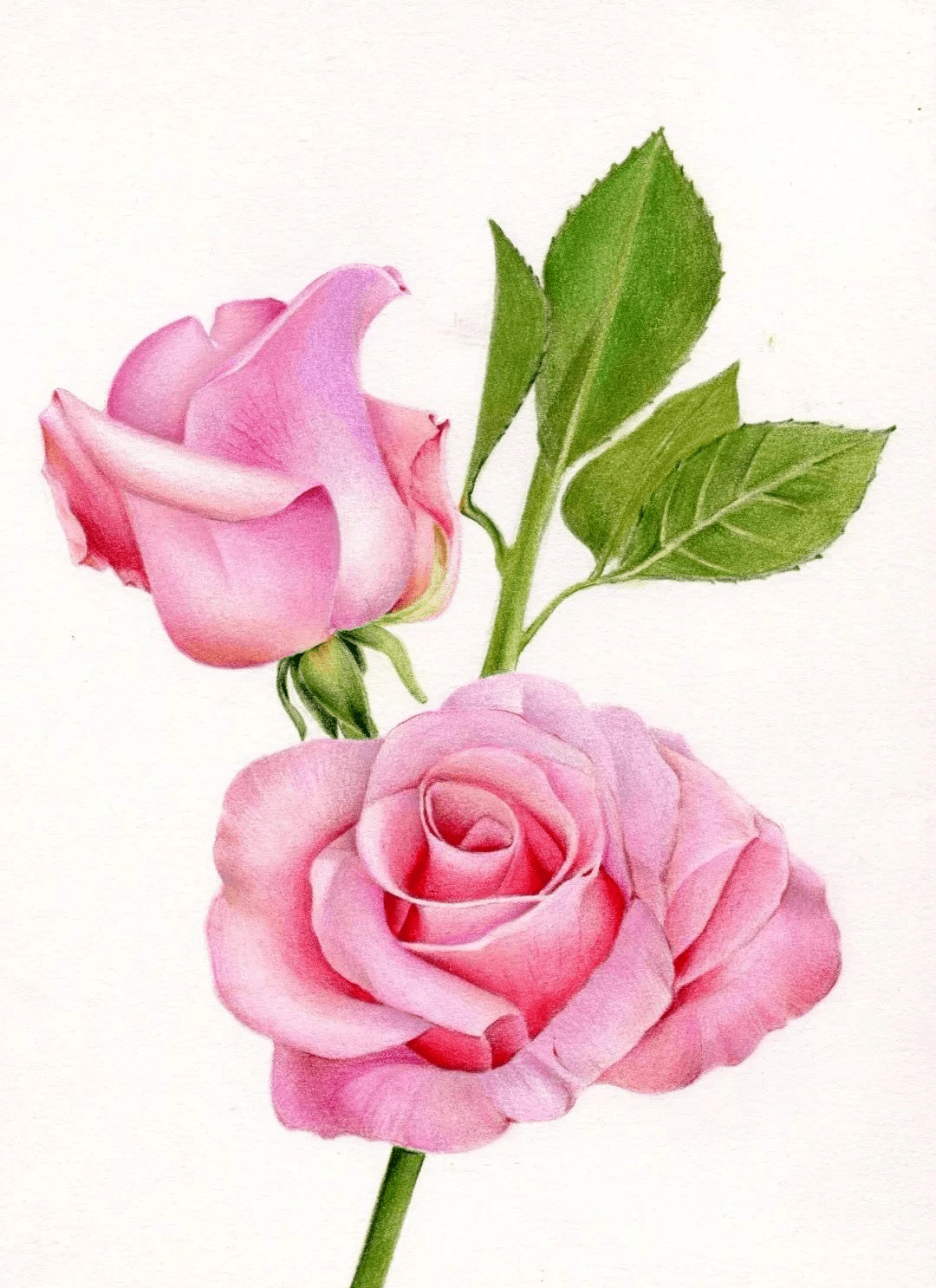 f4a4996f85484fe9a3c2da9472e7f1a5.png