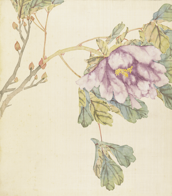 无名氏没骨牡丹美醉了