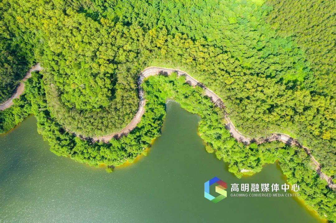 揭秘佛山最大的水库就在高明