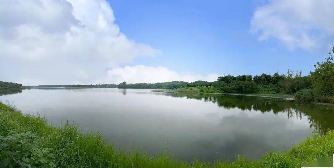 竹构|成都青龙湖“花园”，上新！