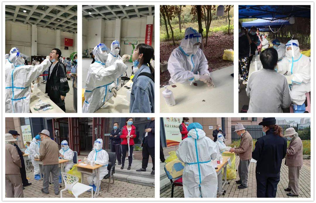 社区|黑龙江中医大一院60后专家“挂帅出战” 支援第三批核酸采集