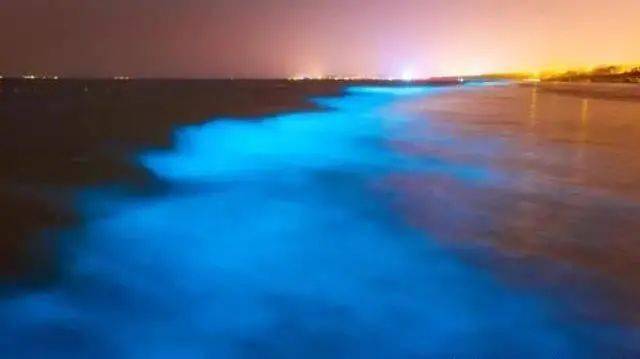 晚上的大海怎么调色 718354fa447f49d79b6a522a8f63c152.jpeg