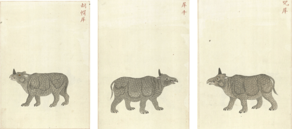 兕是犀么 a1171a42bc584bdca665250d0cf962c0.png