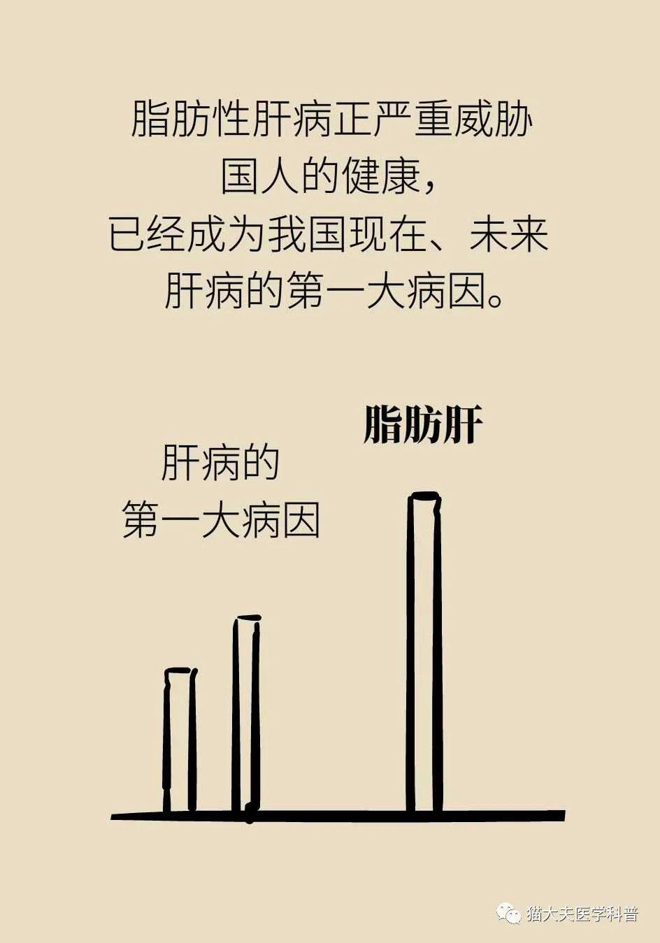 营养|得了脂肪肝不用吃药，做好这件事就行