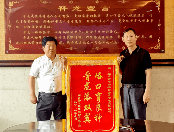 《蛋鸡行业的王道是什么——访山西晋龙董事长王苏龙》