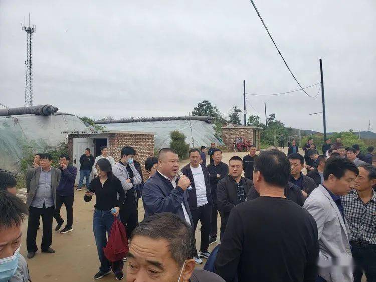 沙河刘石岗乡将军墓村迎来百人观摩团