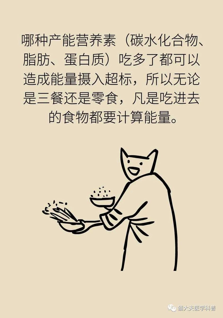 代谢|长胖是因为代谢变慢了？代谢表示不背这个锅