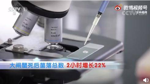 网友|死蟹到底能不能吃？别吃错了！