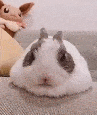 67532dee87a34323975739136349cd16.gif