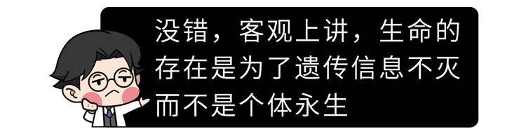 Madden|不想年轻时暴毙，就看看这篇长寿密码