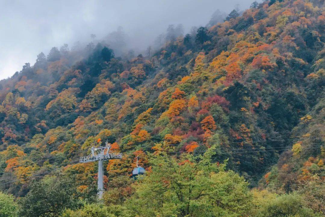 高山和|山水秋色从蓉来！成都最美的初秋时光到来，你细品……