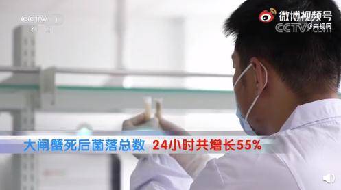 网友|死蟹到底能不能吃？别吃错了！