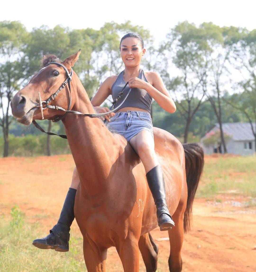 国庆专辑高安军马特技表演10月1日隆重登场