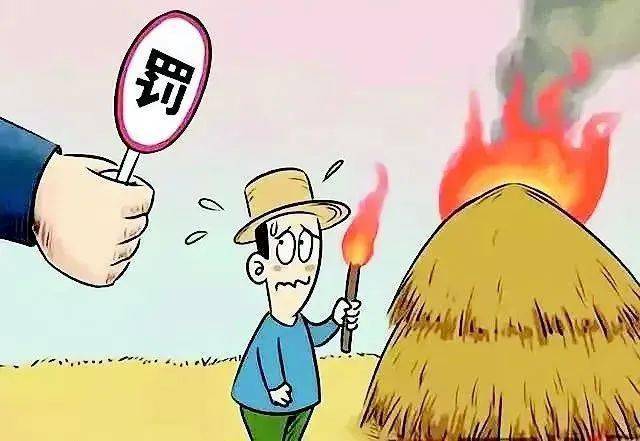 天价罚单？黑龙江185人烧秸秆被罚1.78亿？