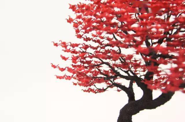 这位90后小哥哥用1000只1cm的千纸鹤做了棵树折服万千少女心