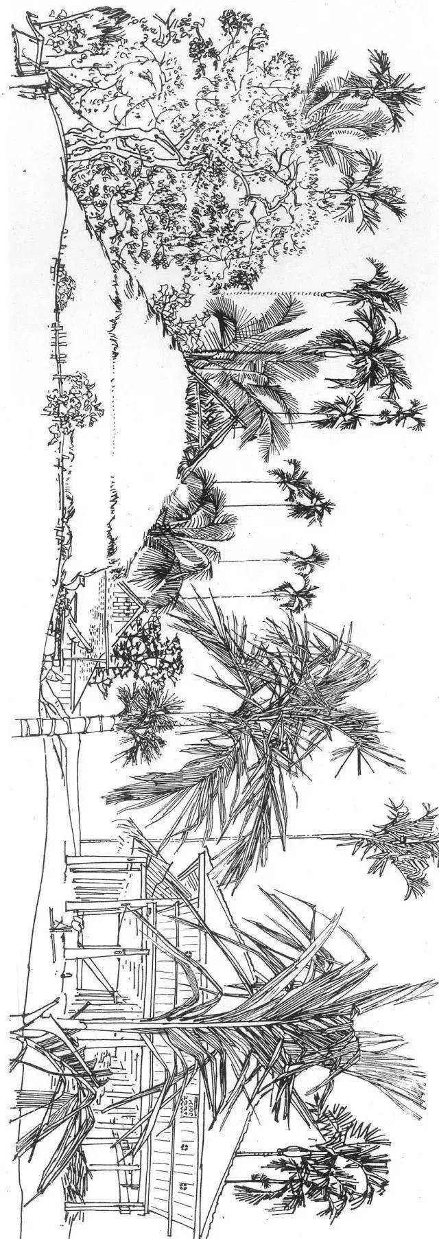 中央美术学院教授袁运生的白描作品