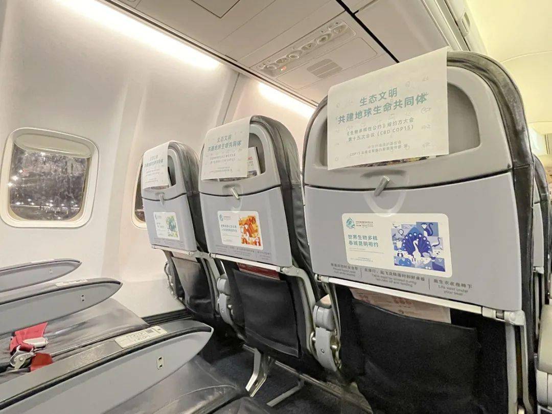 瑞丽航空主题客舱空中助力cop15