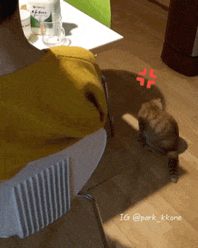 漂亮|每日一笑,?像不像和老婆吵架的你?