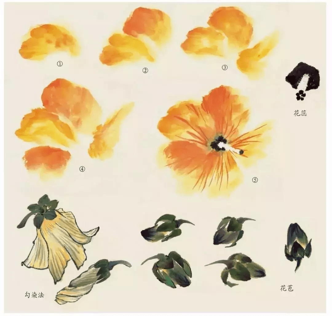 61fc9f9dfb9a4bb284678999f57d57e5.png