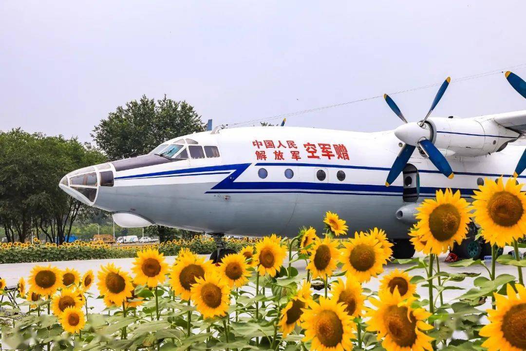 机"它是哈飞设计制造的y11轻型运输机1975年首飞成功被应用在空中摄影